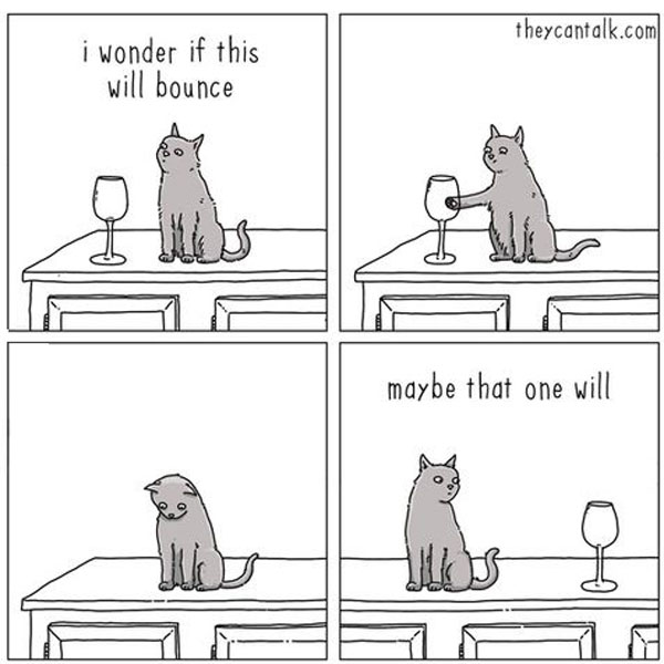 cat versus gravity