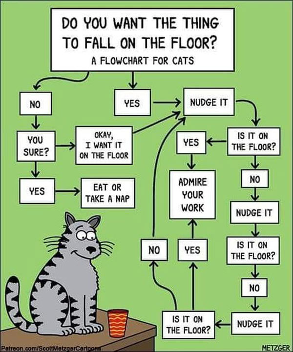 cat flowchart comic