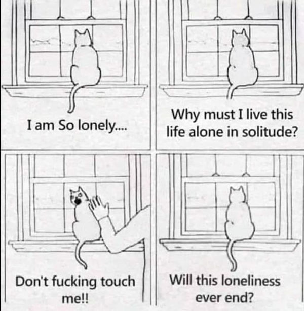 cat loneliness comic