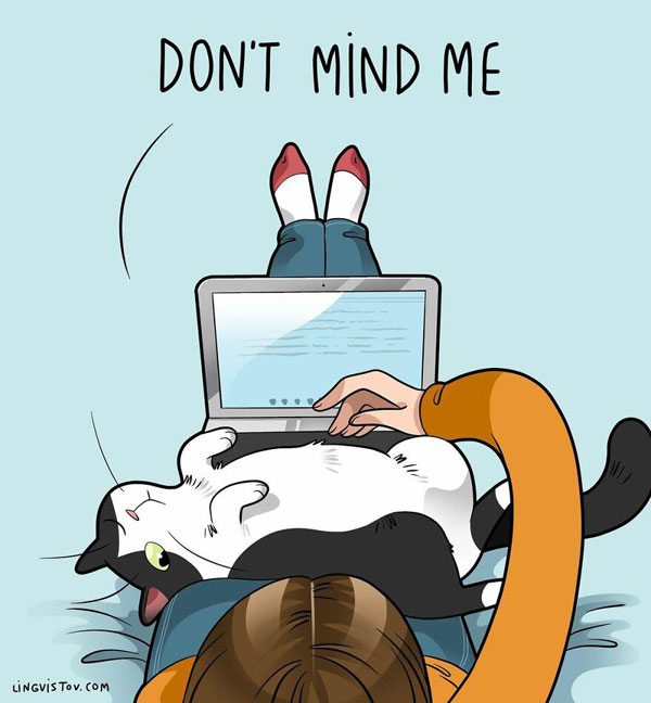 cat on laptop comic