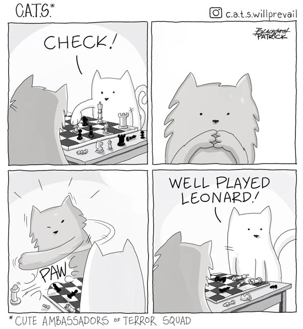 cats play chess