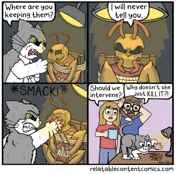 cat versus bug comic
