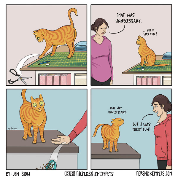 cats and gravity comic