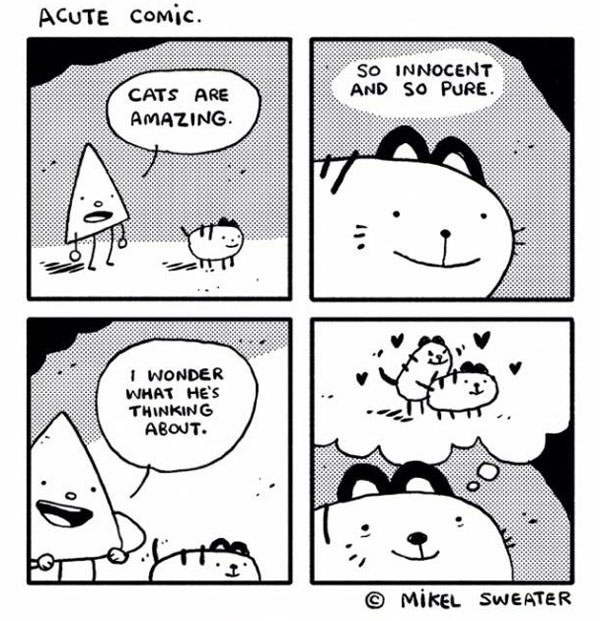 cats are amazing comic