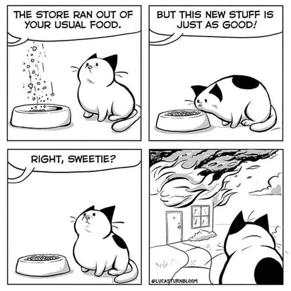 cats hate new food comic