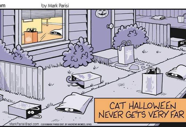 cats halloween fails bags
