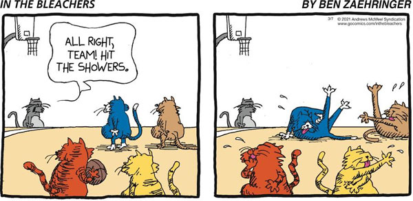 cats lick themselves comic