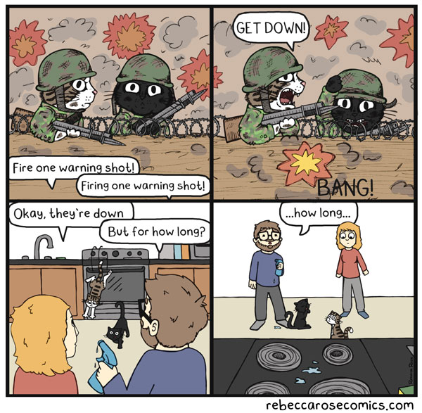 cats on stove comic