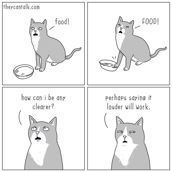 cat wants food comic