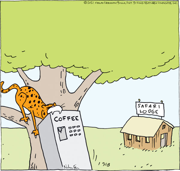 cat steals coffee machine comic