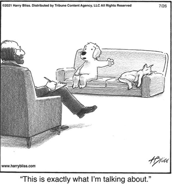 couples therapy cat dog comic