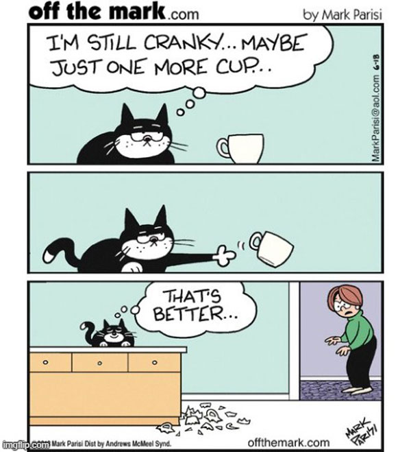 cranky cat comic