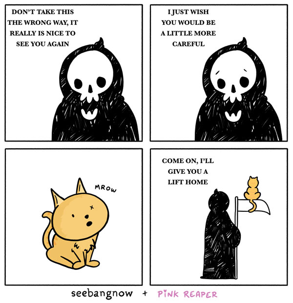 death and cat comic