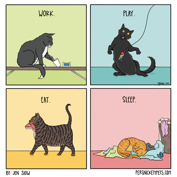 four cat phases comic