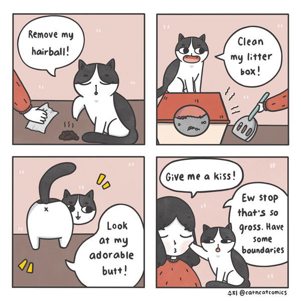 humans ar gross cat comic