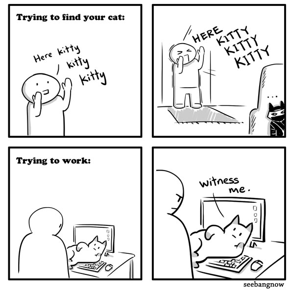 hidden kitty comic