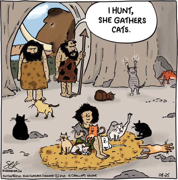 hunter gatherer cat comic