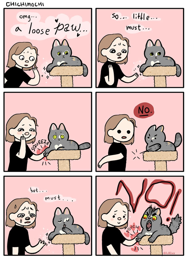 indignant cat comic