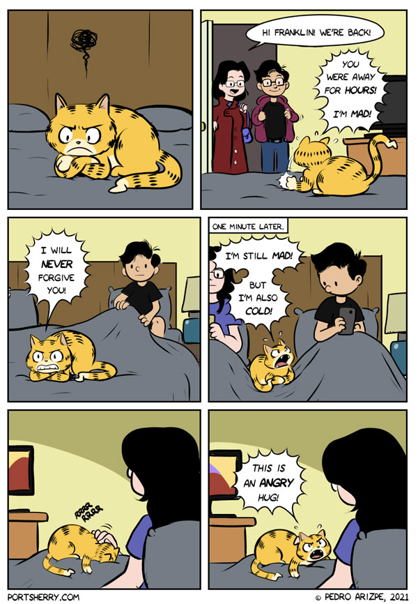 mad cat comic