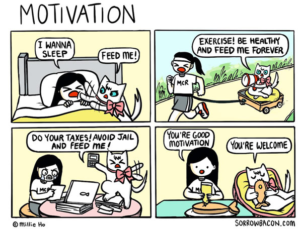 motivation cat comic