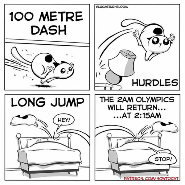 olympic cat sports comic