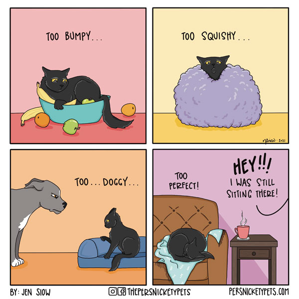 perfect cat bed comic