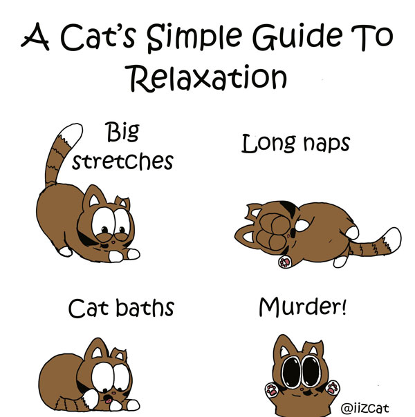 cat relaxation guide comic