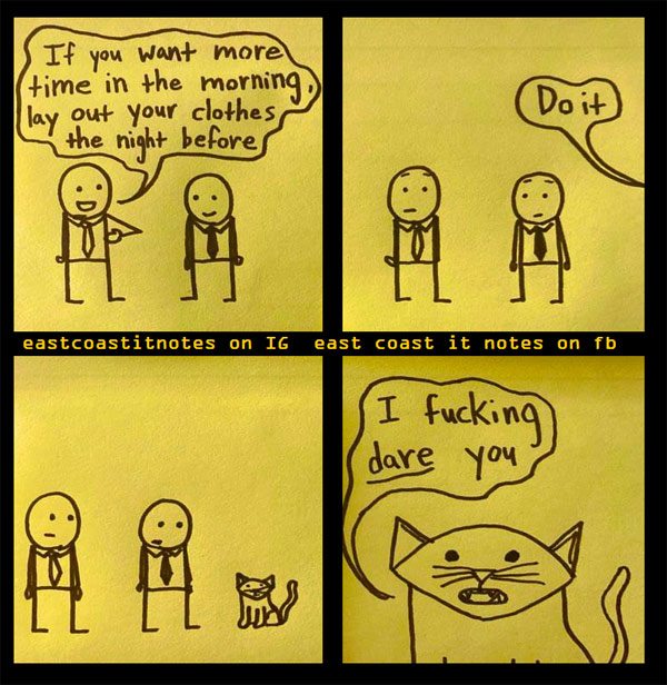 scatalogical cat comic