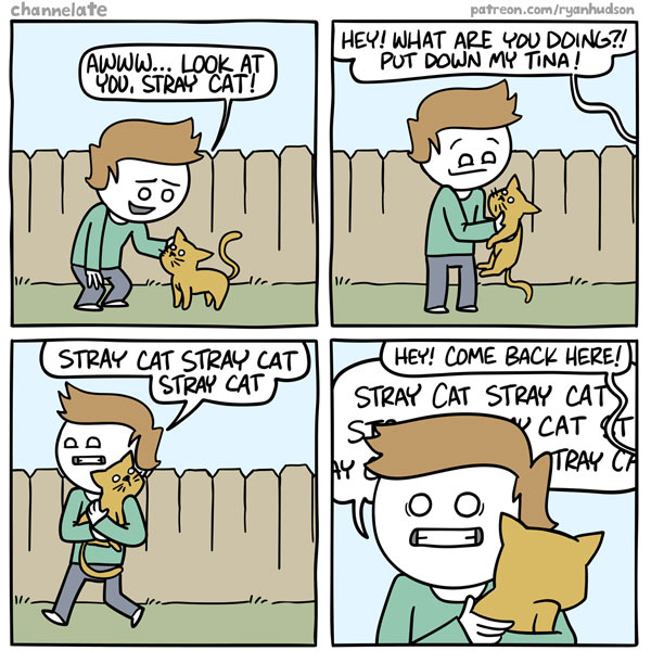 steal stray cat comic