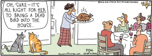 thanksgiving cat comic