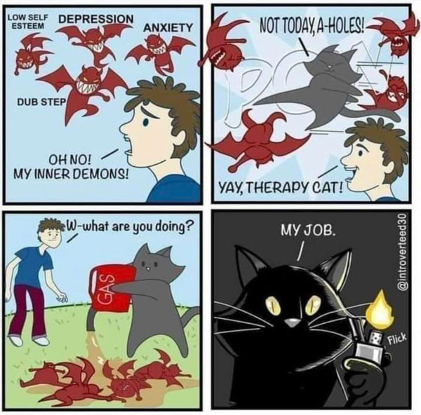 therapy cat comic