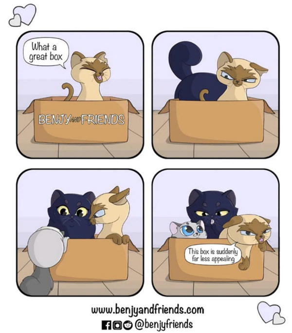 too many cats in box comic