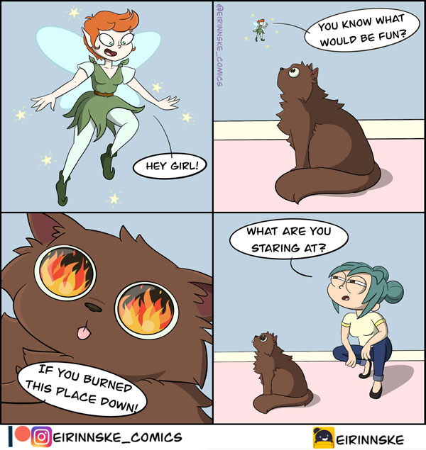 what cats only can see comic