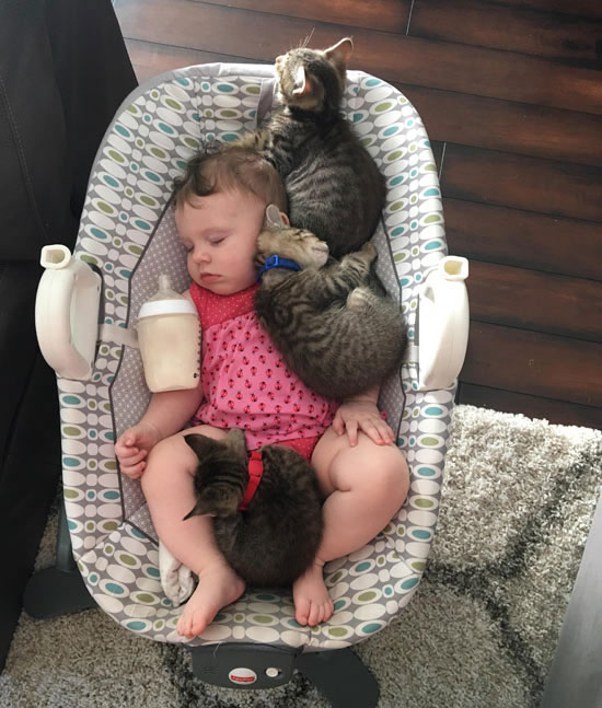 kittens sleeping with baby