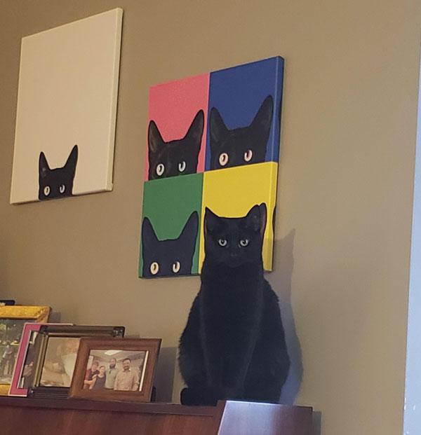 cat and six portraits