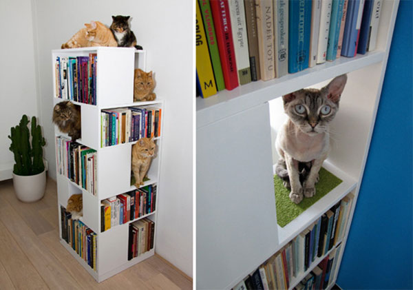 cat bookcase