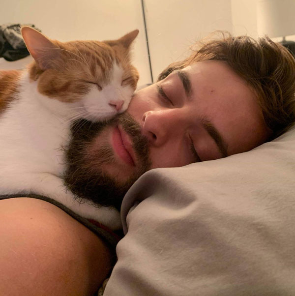 cat sleeps on beard
