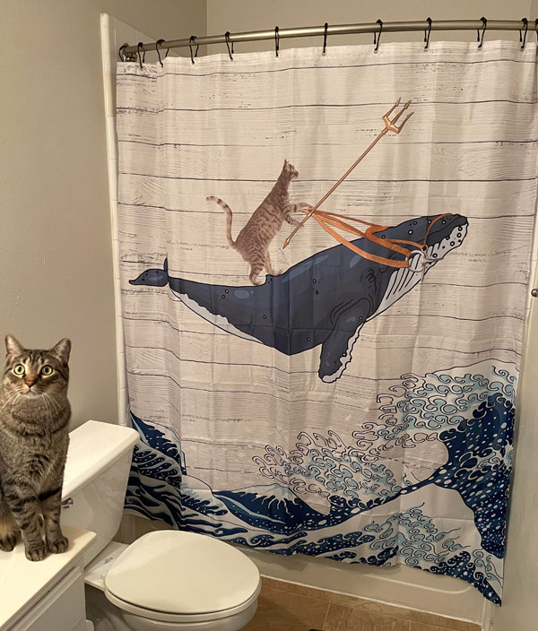 cat whale shower curtain