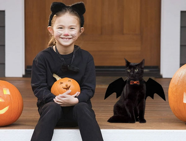 girl cat costume and winged cat