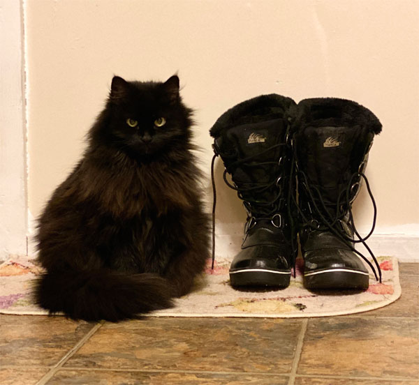 black cat and pair of boots