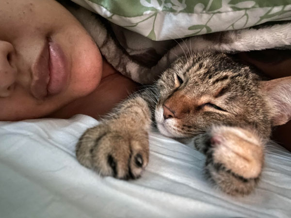 cat under sheets with owner