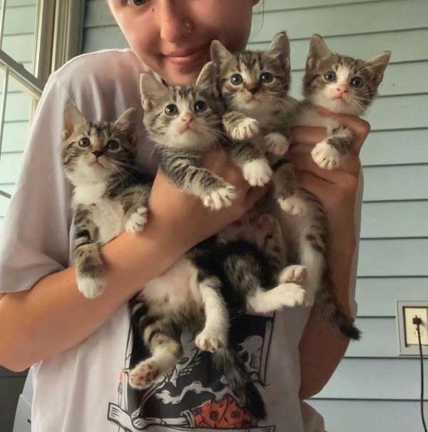 woman holding four kittens
