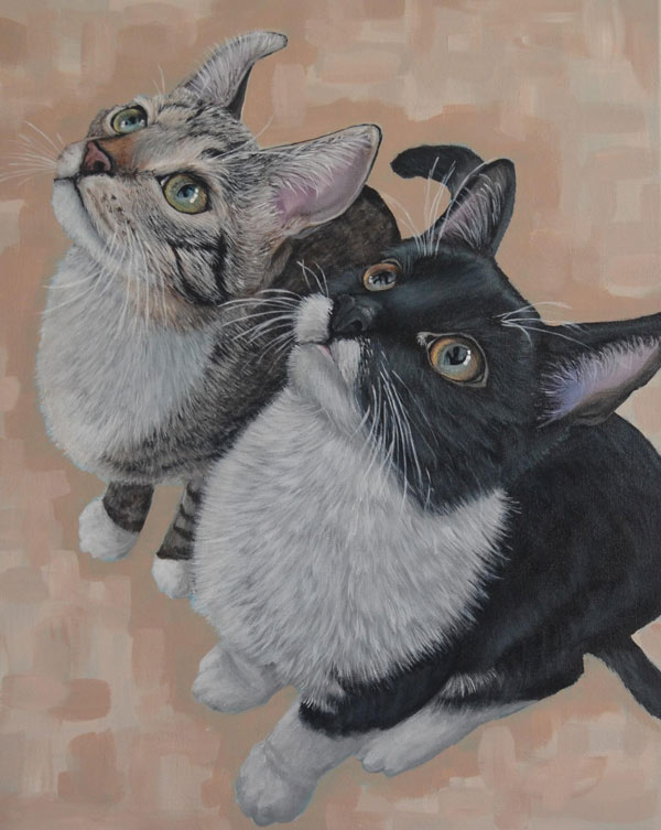 two cats portrait art
