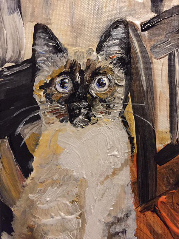 antipasto cat portrait