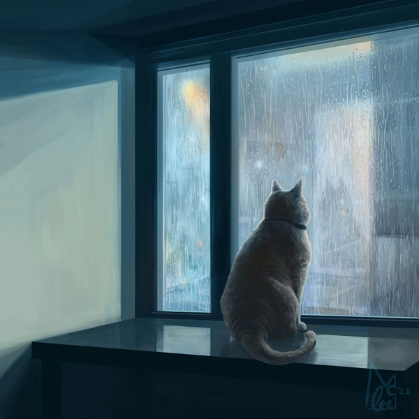 cat and rain art