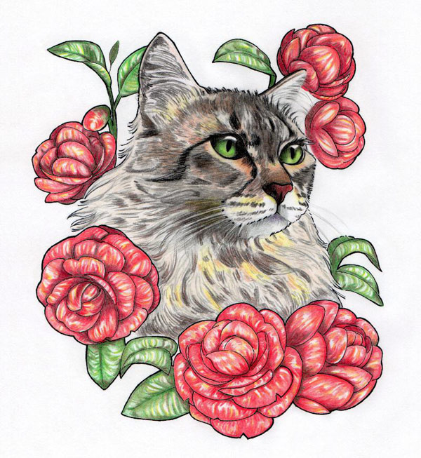 cat roses art