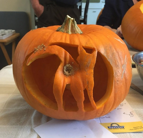 cat pumpkin art