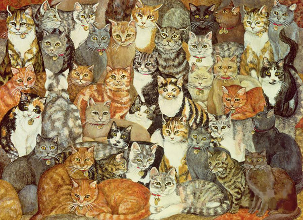 assortment of cats art