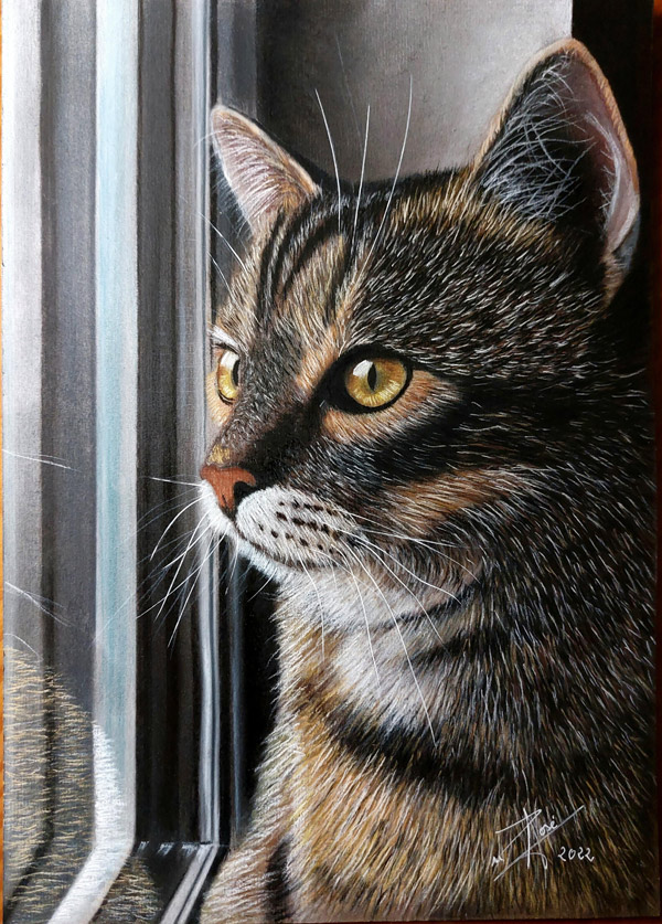 cat at window art
