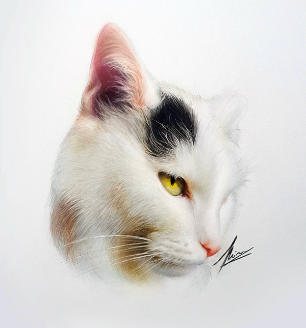 cat portrait art